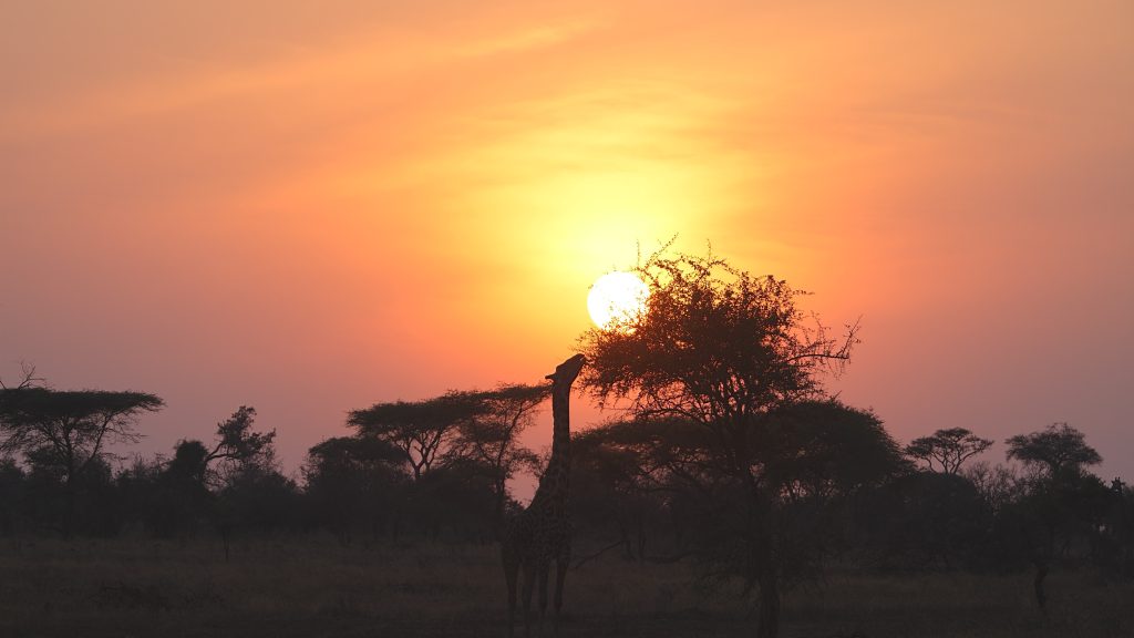 Sunrise & Sunset, Tanzania
